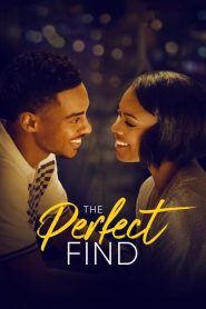 The Perfect Find – Tutto è davvero possibile [HD] (2023)